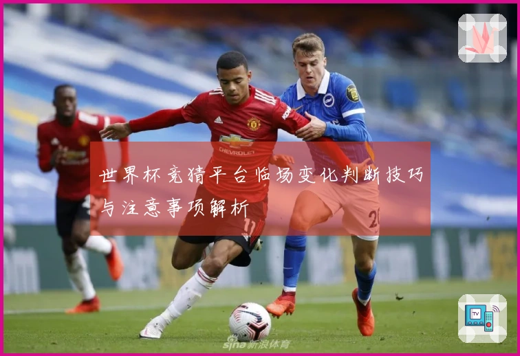 世界杯竞猜平台临场变化判断技巧与注意事项解析