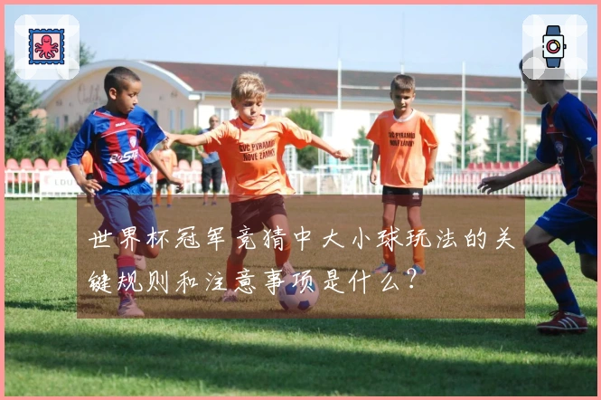 世界杯冠军竞猜中大小球玩法的关键规则和注意事项是什么？