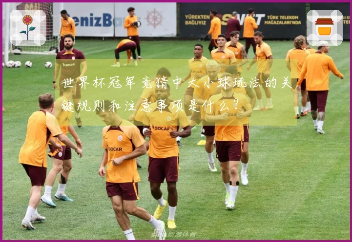 世界杯冠军竞猜中大小球玩法的关键规则和注意事项是什么？