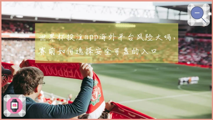 世界杯投注app海外平台风险大吗，赛前如何选择安全可靠的入口