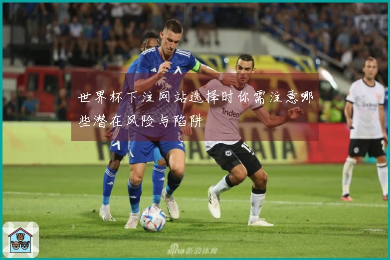 世界杯下注网站选择时你需注意哪些潜在风险与陷阱