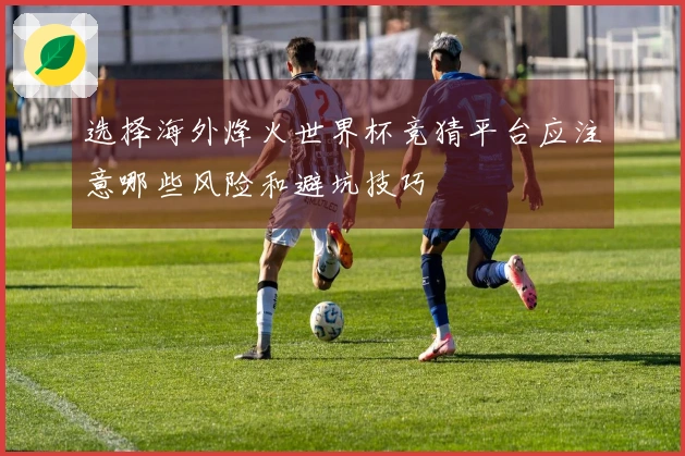 选择海外烽火世界杯竞猜平台应注意哪些风险和避坑技巧