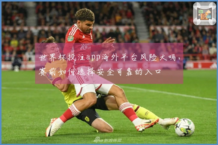 世界杯投注app海外平台风险大吗，赛前如何选择安全可靠的入口